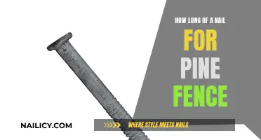 Choosing the Right Nail Length for Your Pine Fence