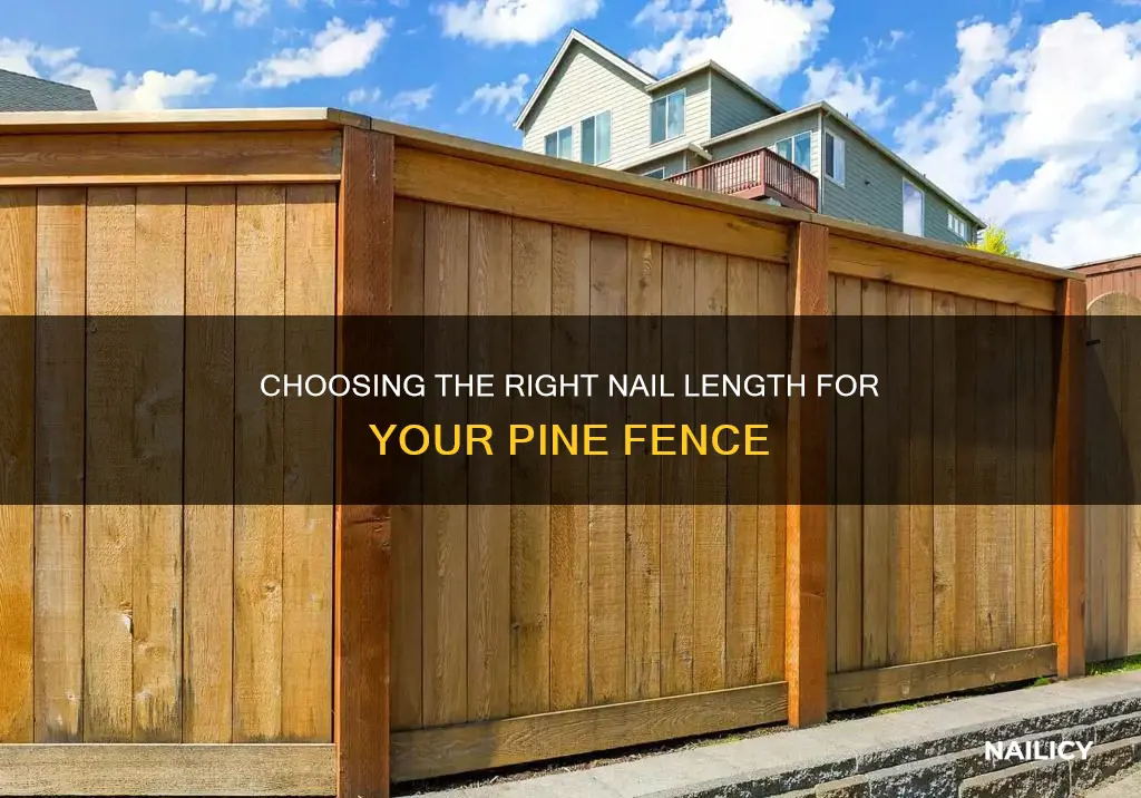 how long of a nail for pine fence