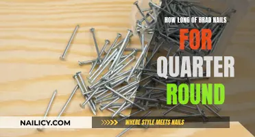 Choosing the Right Brad Nails for Quarter Round