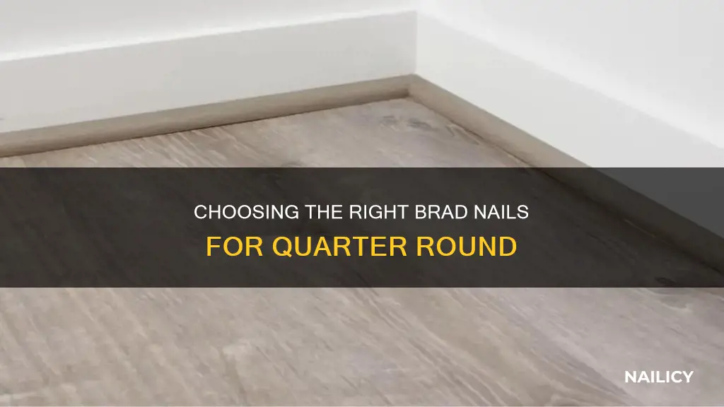 how long of brad nails for quarter round