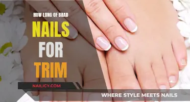 Choosing the Right Brad Nails Length for Your Trim Project