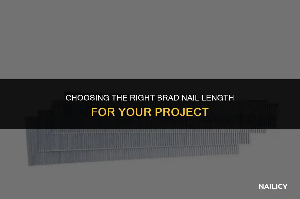 how long of brad nails should i use