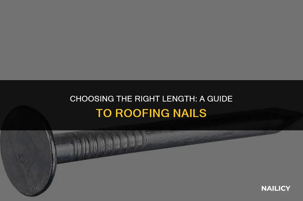 how long of roofing nails should i use