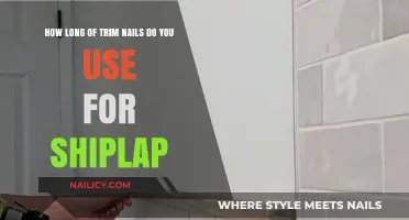 Choosing the Perfect Trim Nails for Your Shiplap Project