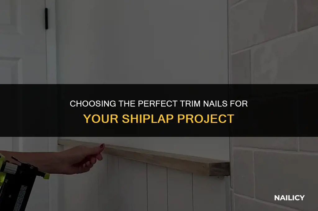 how long of trim nails do you use for shiplap