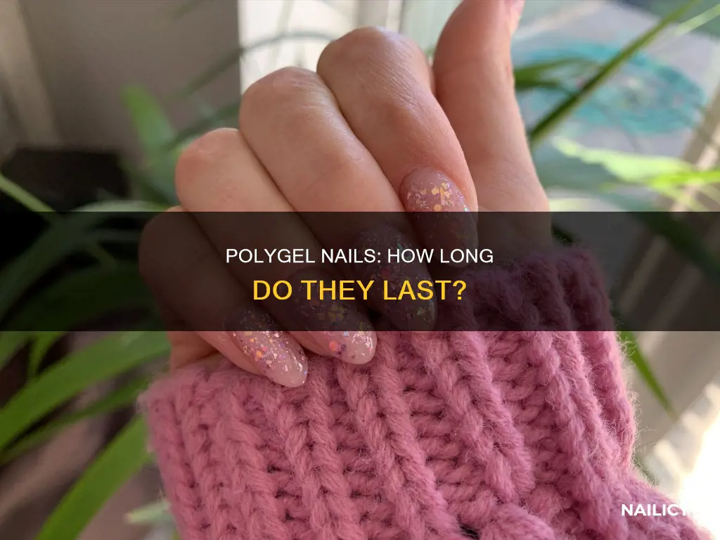 how long polygel nails last
