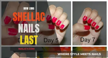 Shellac Nails: How Long Do They Last?