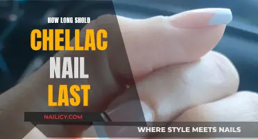 The Longevity of Shellac Nails: How Long Should They Last?