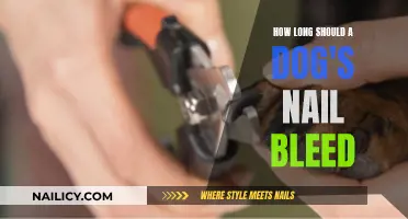 Trim Your Dog's Nails: Stop the Bleeding Fast