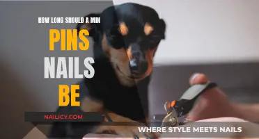 Min Pin Nails: How Short is Too Short?
