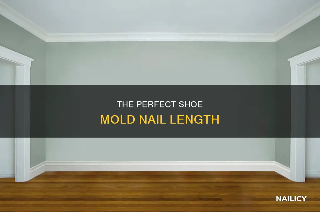 how long should a shoe mold nail be