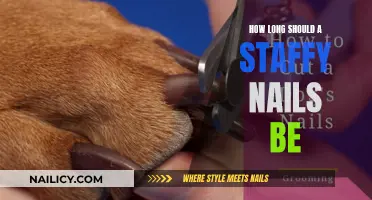 Staffy Nail Length: How Short is Too Short?