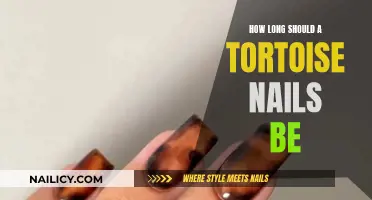 Tortoise Nail Maintenance: Ideal Nail Length for Healthy Tortoises