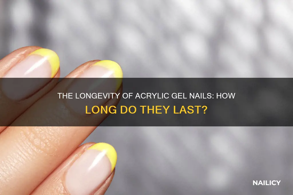 how long should acrylic gel nails last