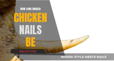 Chicken Claw Care: Maintaining Optimal Nail Length