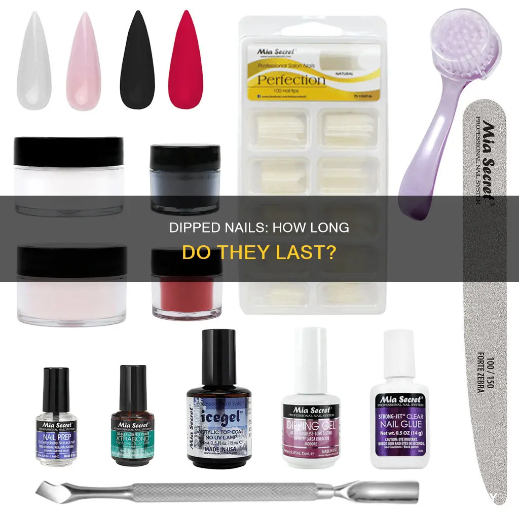 how long should dipped nails last