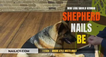 German Shepherd Nails: How Short is Too Short?