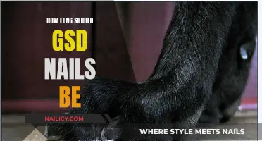 Ideal Nail Length for German Shepherds