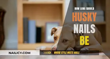 Husky Nail Care: How Short is Too Short?