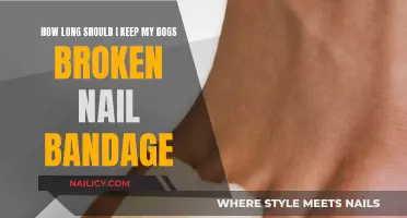 When to Remove Your Dog's Bandage After a Broken Nail