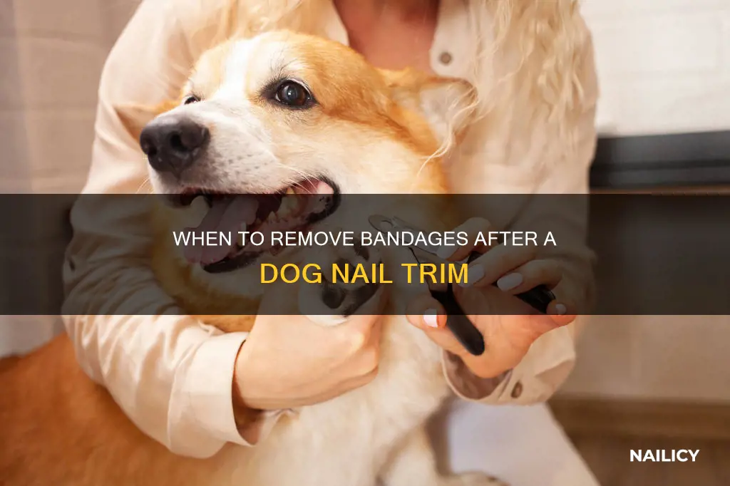 how long should i keep my dogs ripped nail wrapped