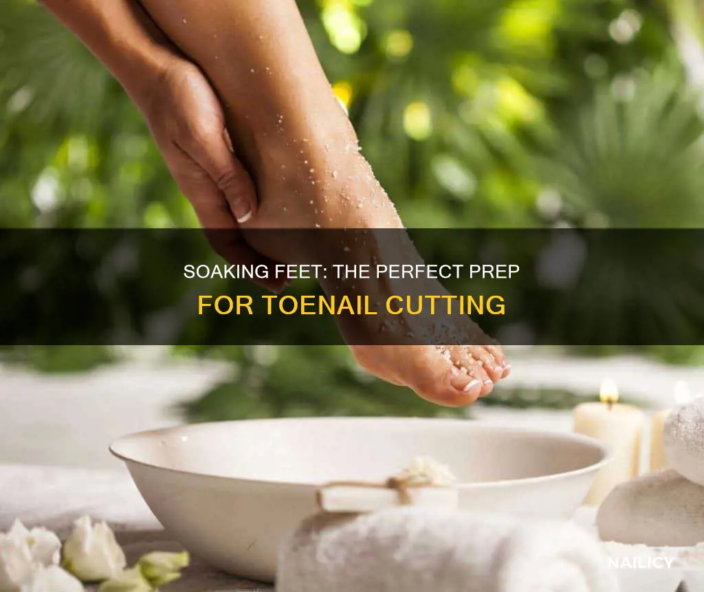 how long should i soak my feet to cutting nails