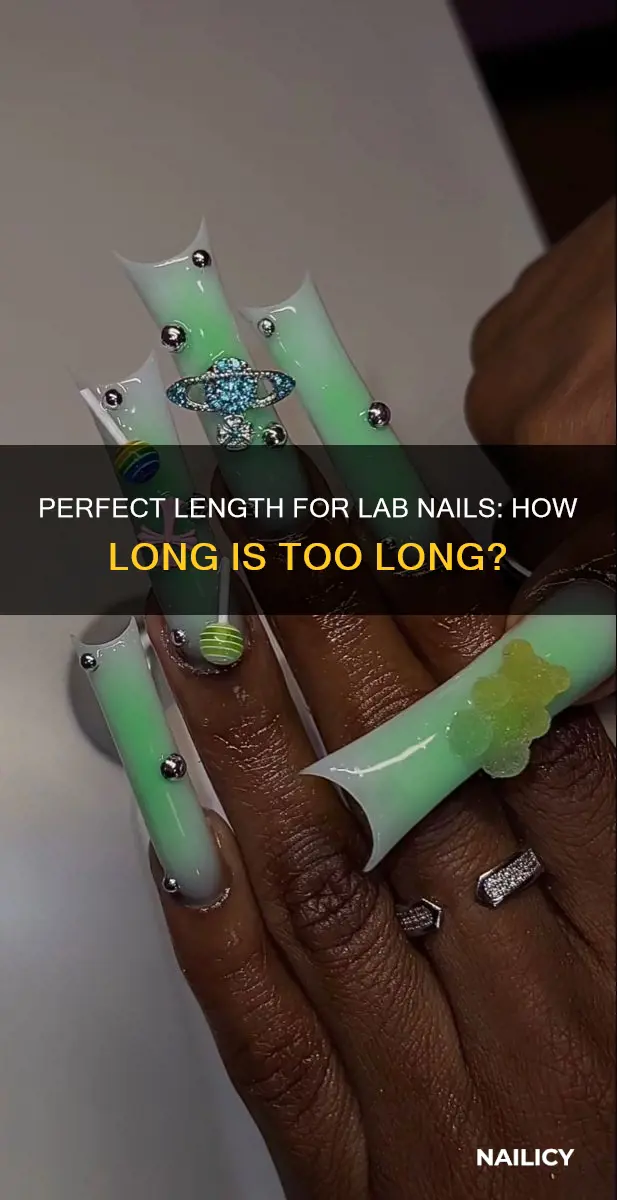 how long should lab nails be