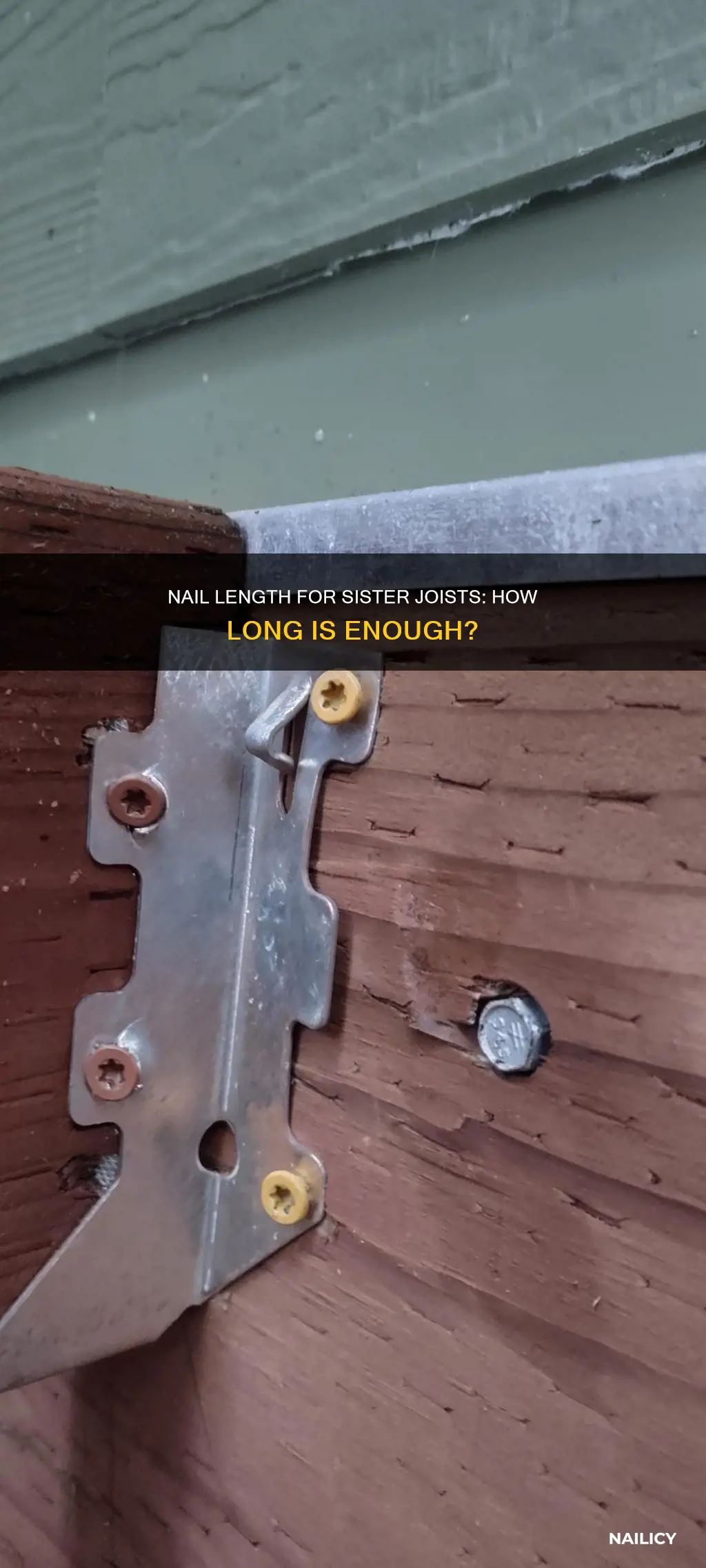 how long should nail be to sister joists