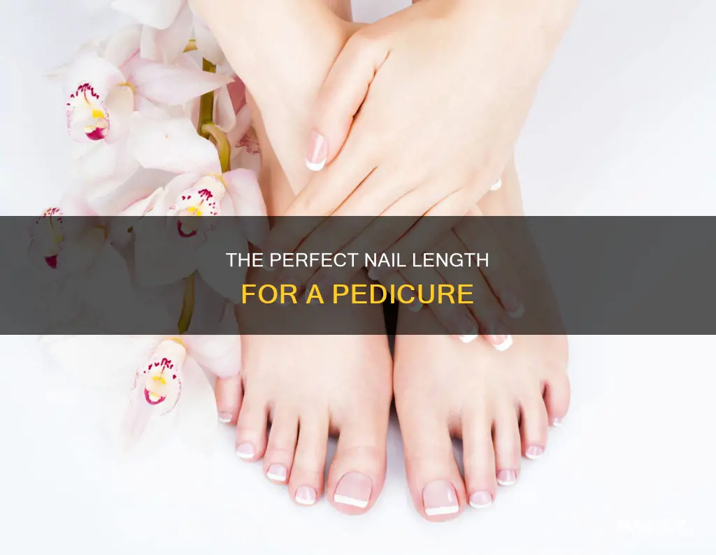 how long should nails be for a pedicure