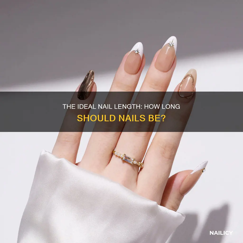 how long should nails be