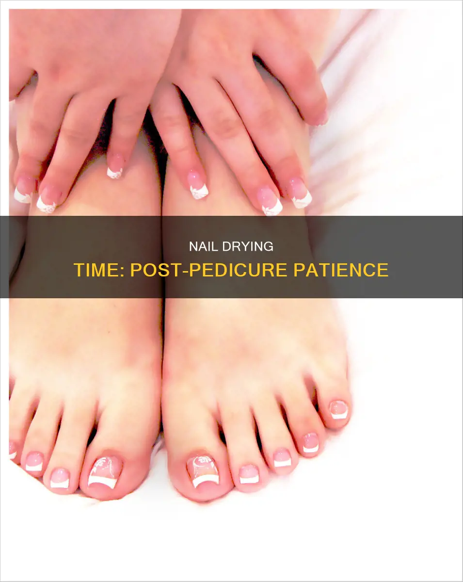 how long should nails dry after pedicure