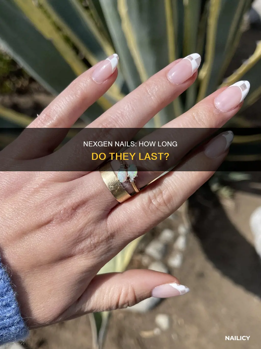 how long should nexgen nails last
