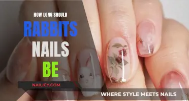 Rabbits' Nails: How Short is Too Short?