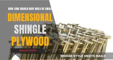 Roofing Nails: Length for Single-Ply Shingle Plywood