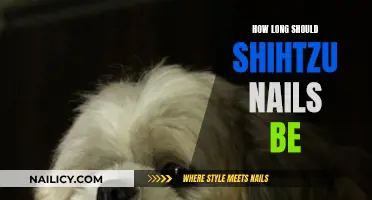 The Ideal Nail Length for Your Shih Tzu