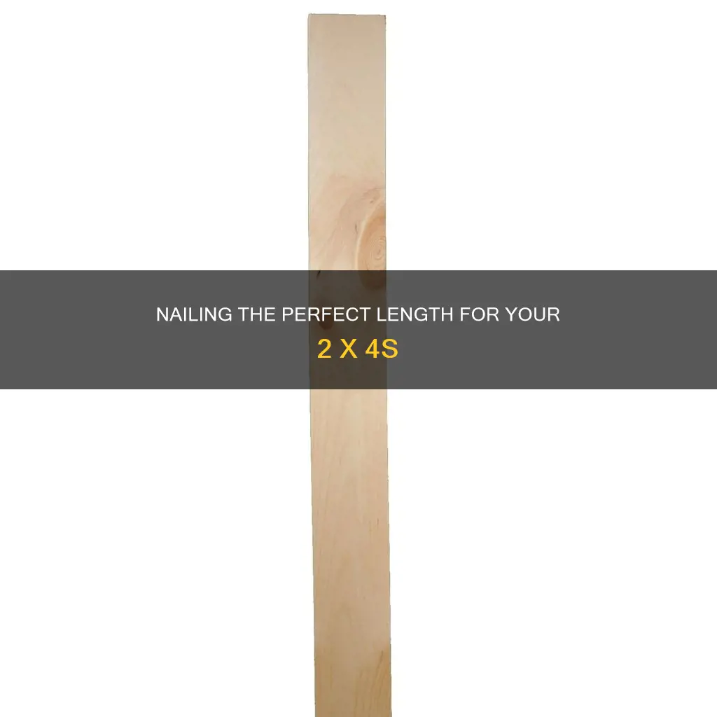 how long should the nails be for 2 x 4s
