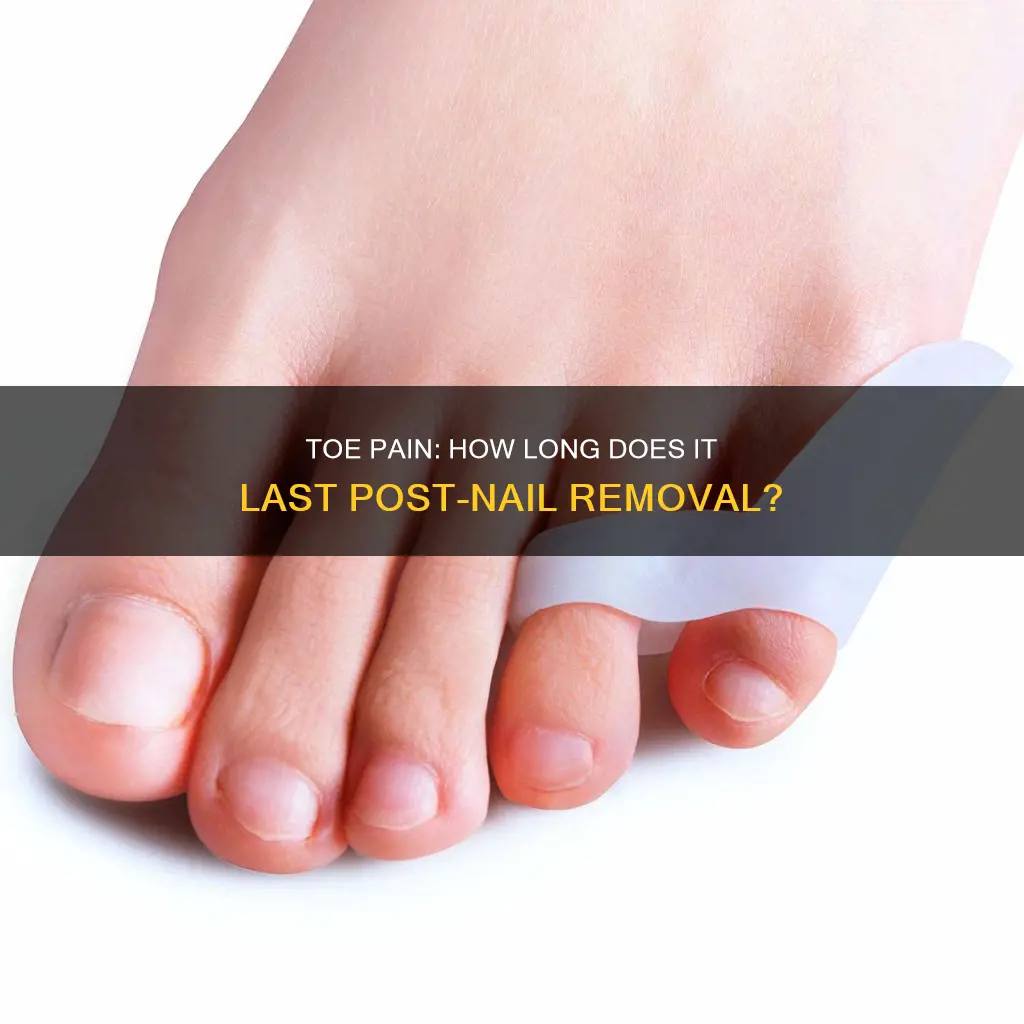 how long should toe hurt after toe nail removal