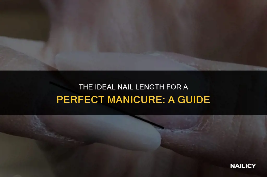 how long should your nails be to get a manicure