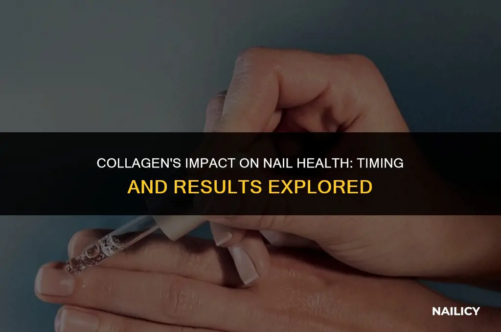 how long take to get hard nails when take collagen