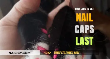 The Lifespan of Cat Nail Caps: How Long Do They Last?