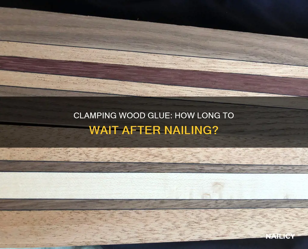 how long to clamp wood glue if nailed