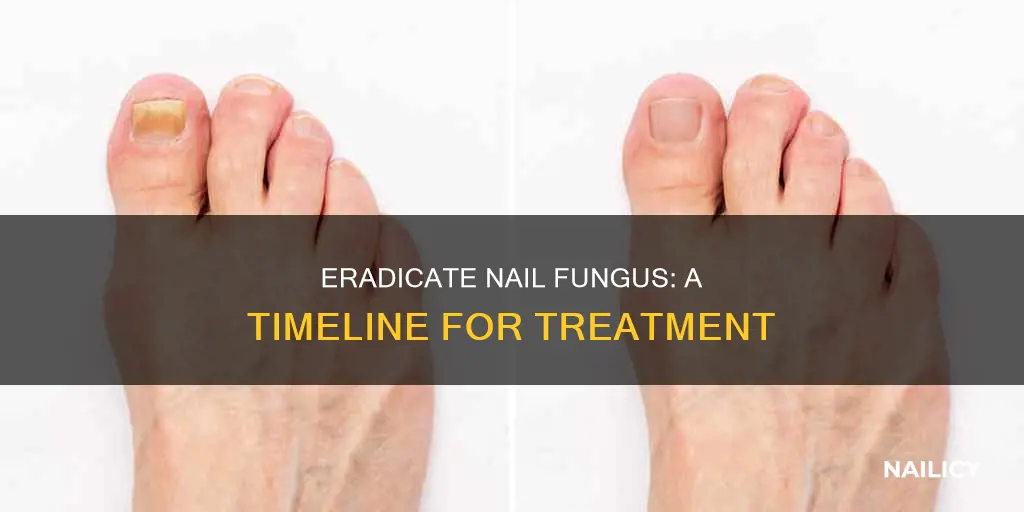 how long to clear a nail fungus