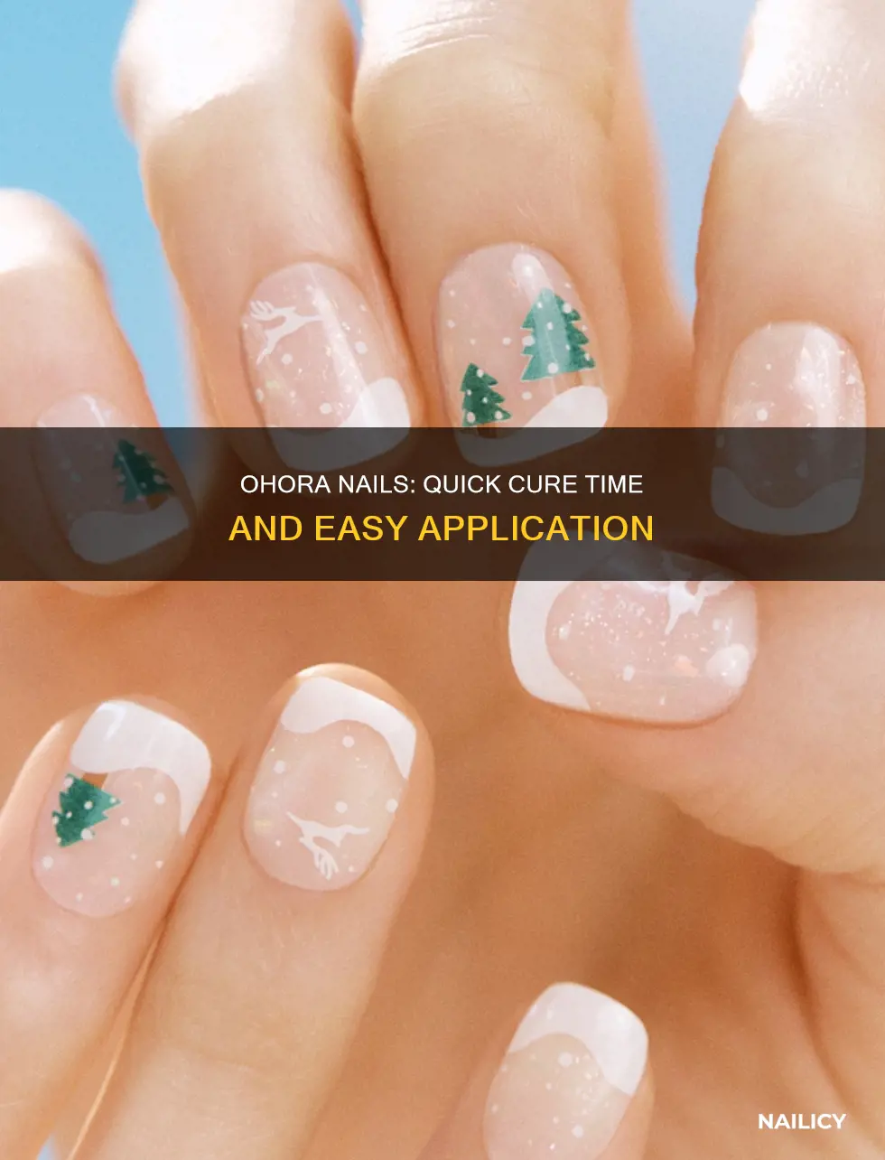 how long to cure ohora nails