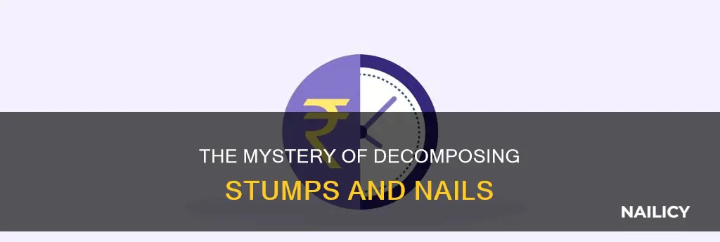 how long to decompose stump copper nail