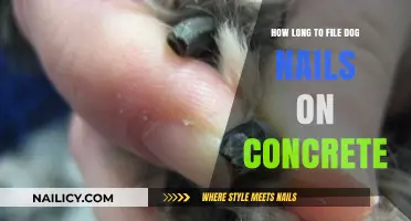 Trimming Dog Nails: Concrete Surfaces and Filing Time
