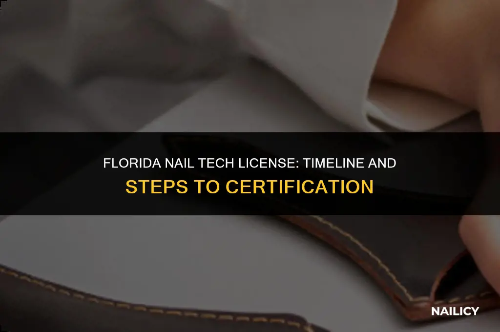 how long to get nail tech license florida