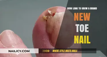 Regrowing Toenails: The Long Wait for New Nails