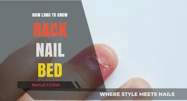 Regrowing Nail Beds: How Long Does It Take?