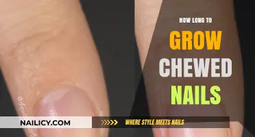 Regrowing Chewed Nails: How Long Does It Take?