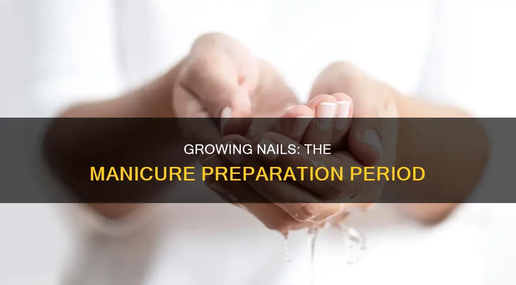 how long to grow nails before manicure